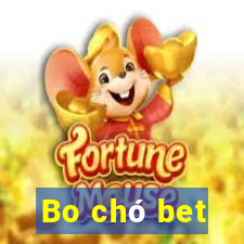 Bo chó bet