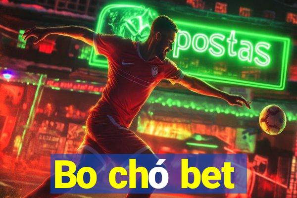 Bo chó bet