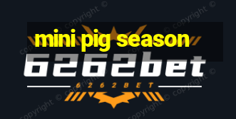 mini pig season