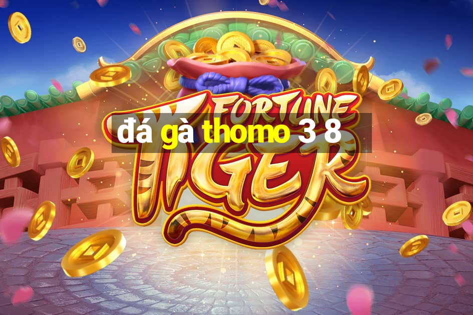 đá gà thomo 3 8