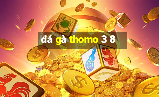 đá gà thomo 3 8