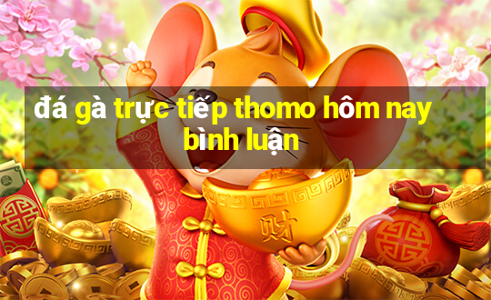 đá gà trực tiếp thomo hôm nay bình luận