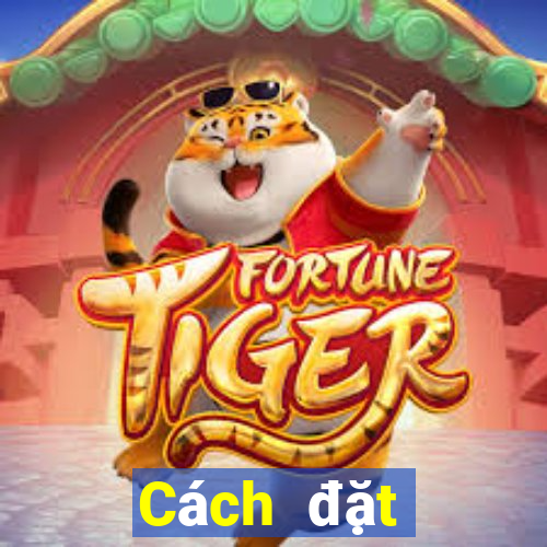 Cách đặt cược XSQN ngày 8