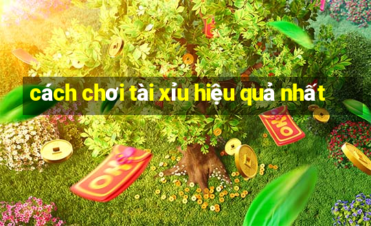 cách chơi tài xỉu hiệu quả nhất