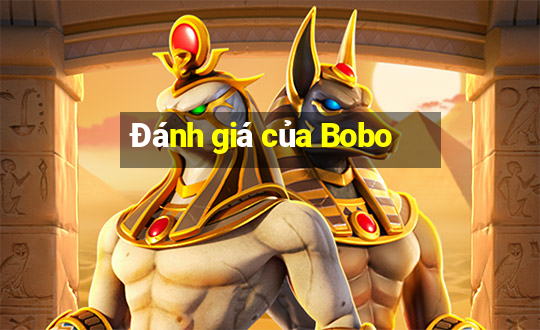 Đánh giá của Bobo