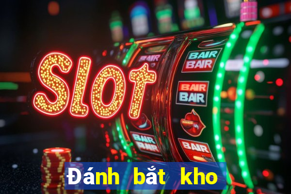 Đánh bắt kho báu đi