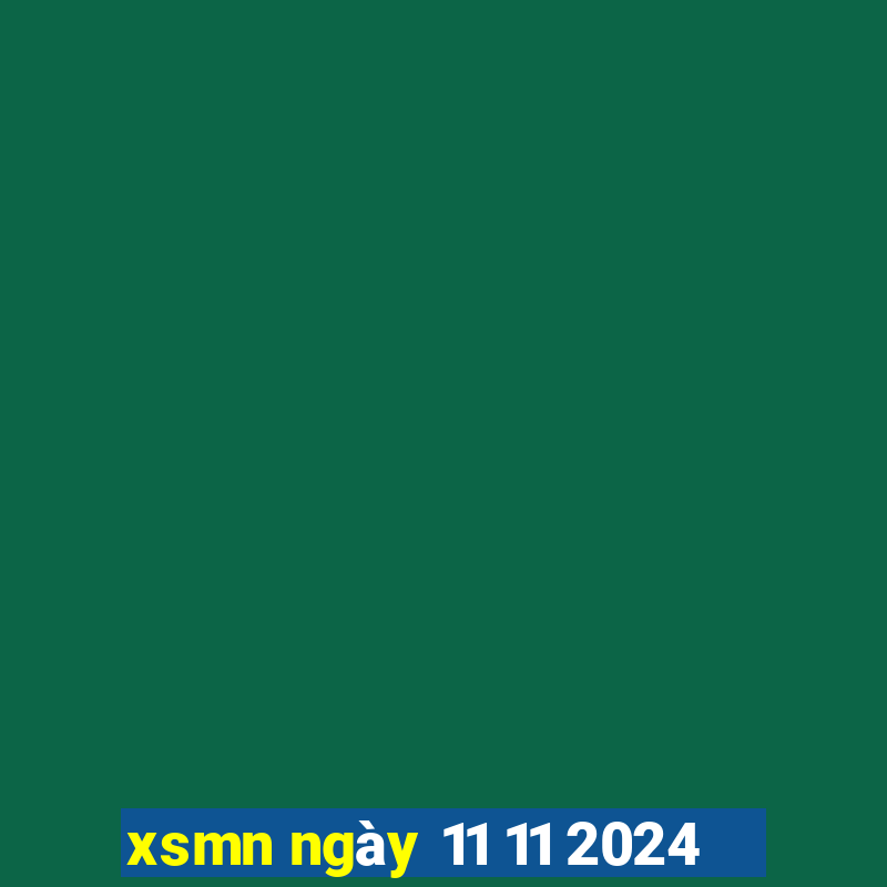 xsmn ngày 11 11 2024