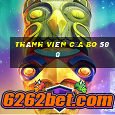 Thành viên của Bo 500