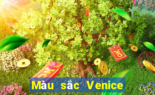 Màu sắc Venice Việt nam