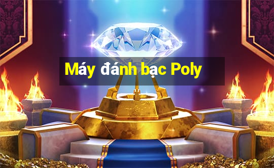 Máy đánh bạc Poly