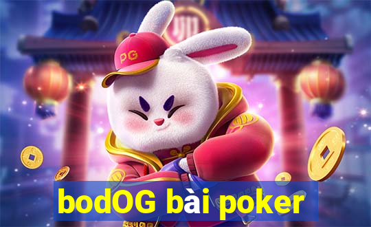 bodOG bài poker