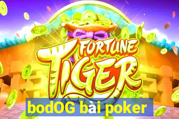 bodOG bài poker