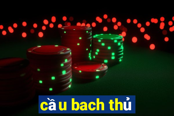 cầu bach thủ