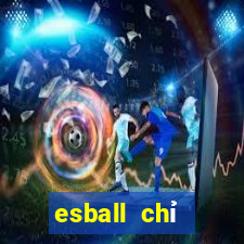 esball chỉ định đăng ký