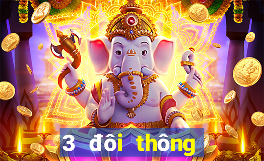 3 đôi thông chặt được gì