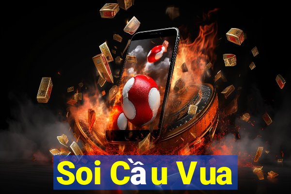 Soi Cầu Vua