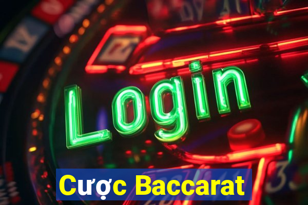 Cược Baccarat