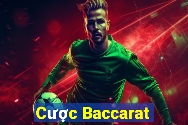 Cược Baccarat