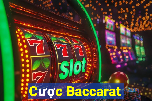 Cược Baccarat