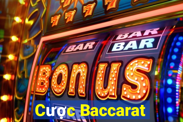 Cược Baccarat