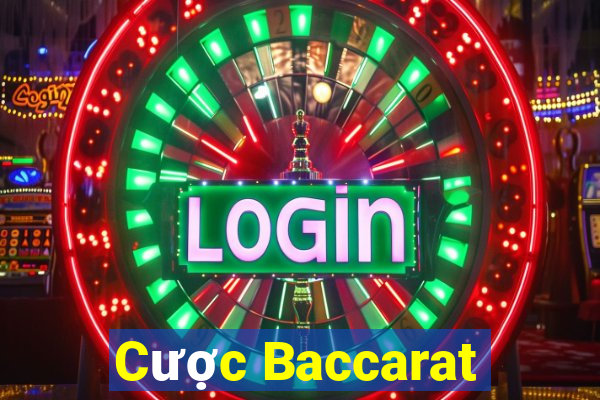 Cược Baccarat