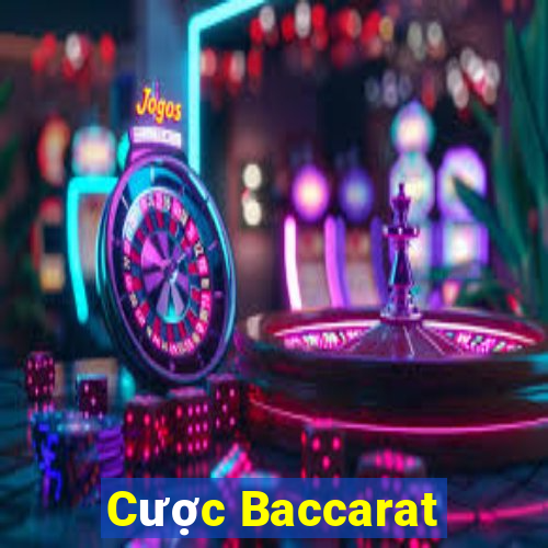 Cược Baccarat