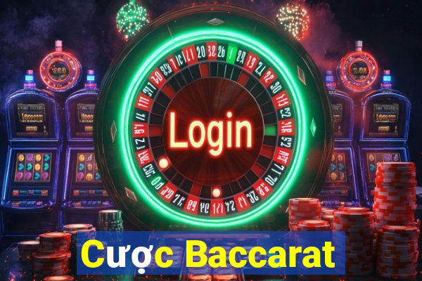 Cược Baccarat