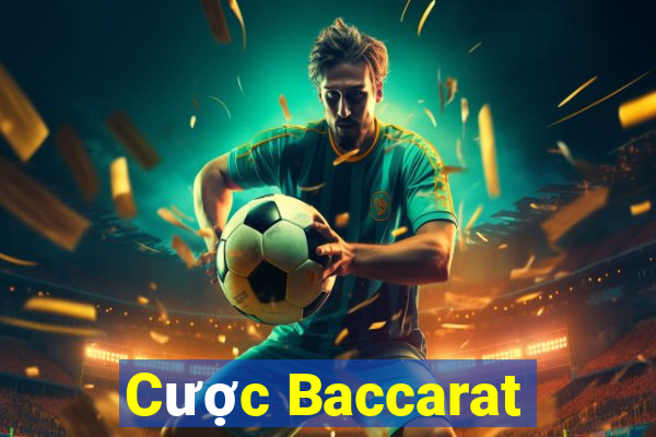 Cược Baccarat