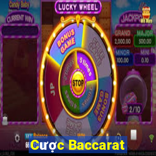 Cược Baccarat