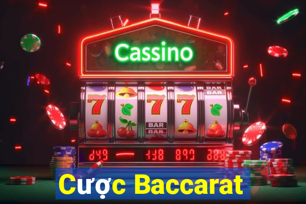 Cược Baccarat