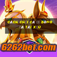 cách chơi cá độ bóng đá tài xỉu