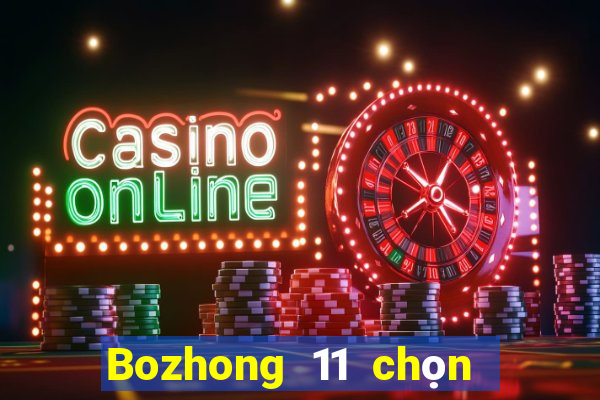 Bozhong 11 chọn năm phần mềm