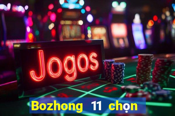 Bozhong 11 chọn năm phần mềm