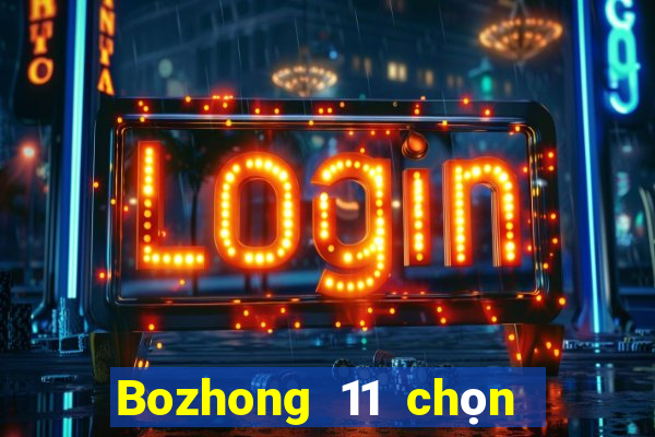 Bozhong 11 chọn năm phần mềm