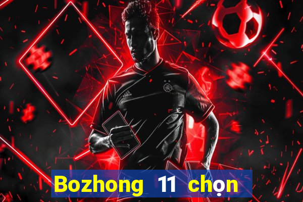 Bozhong 11 chọn năm phần mềm