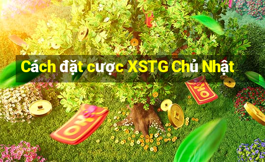 Cách đặt cược XSTG Chủ Nhật