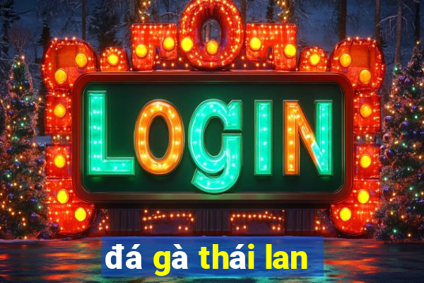 đá gà thái lan