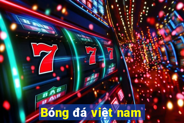 Bóng đá việt nam