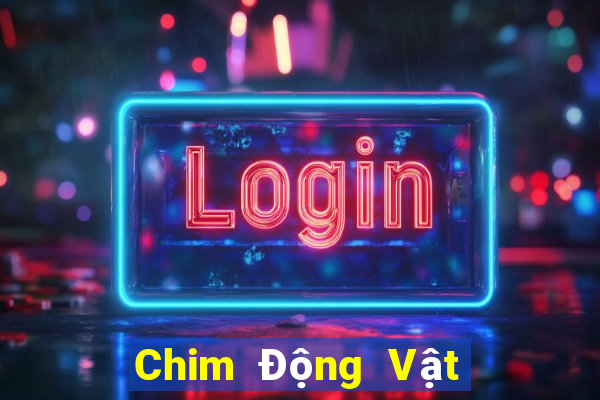 Chim Động Vật Sư Tử Đại Bàng