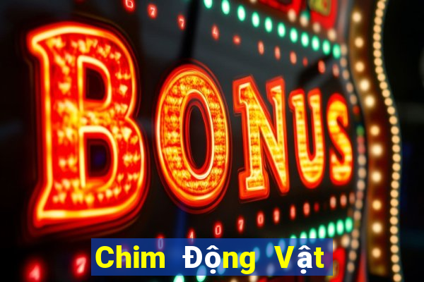 Chim Động Vật Sư Tử Đại Bàng