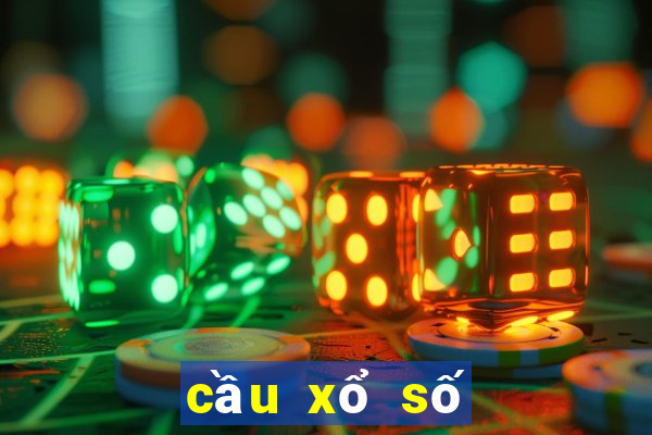 cau xo so quang nam