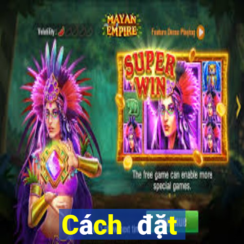 Cách đặt cược XSND ngày 12