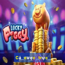 Cá cược trực tuyến v7bet