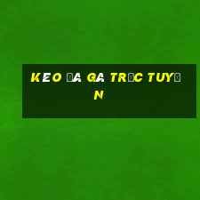 kèo đá gà trực tuyến