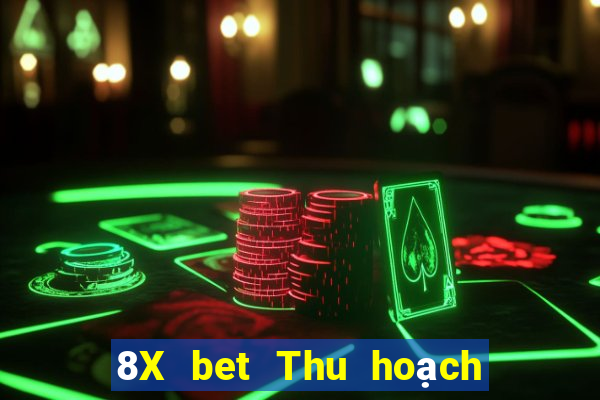 8X bet Thu hoạch lớn Đăng nhập