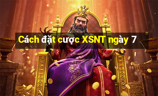 Cách đặt cược XSNT ngày 7