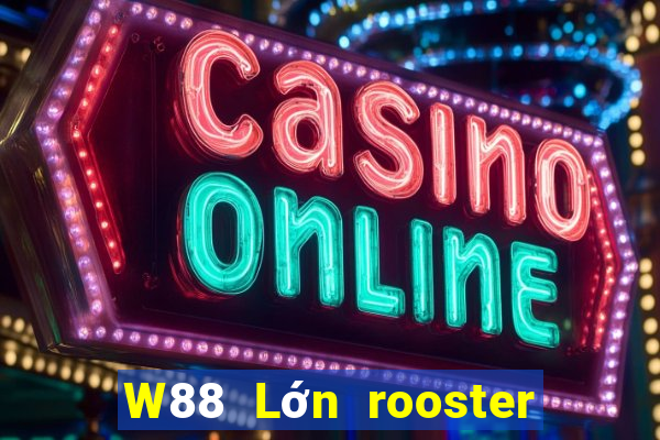 W88 Lớn rooster sắp xếp