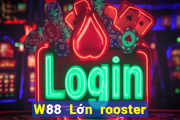 W88 Lớn rooster sắp xếp