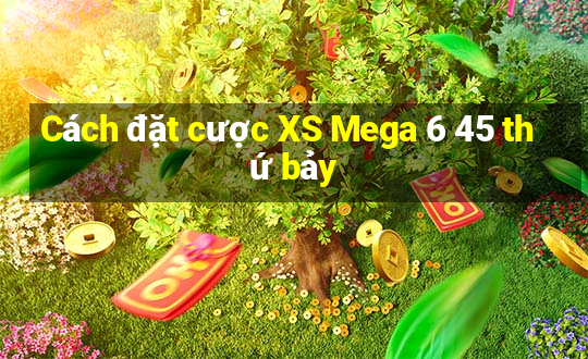 Cách đặt cược XS Mega 6 45 thứ bảy