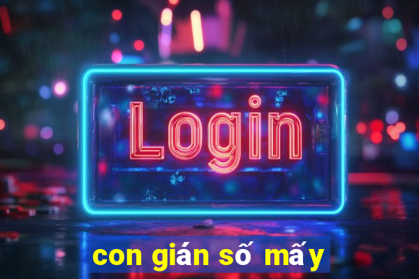 con gián số mấy